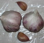 Chinese Pink Garlic