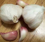 Idaho Silver Garlic