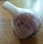 Italian Heirloom Garlic