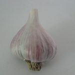 Korean Mountain Garlic