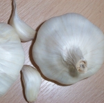 Transylvanian Garlic